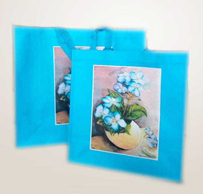 ถุงซ้อปปิ้ง